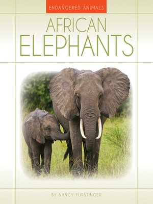 African Elephants - ebook